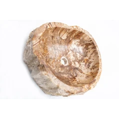 Umivaonik Fossil Wood