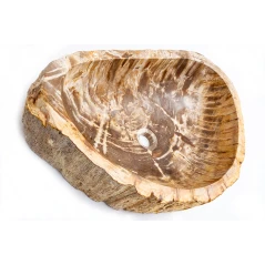 Umivaonik Fossil Wood