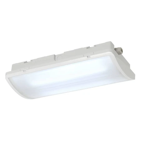 P-LIGHT, stropna svjetiljka, LED, 6000K, pravokutno, bijelo, 6,5W