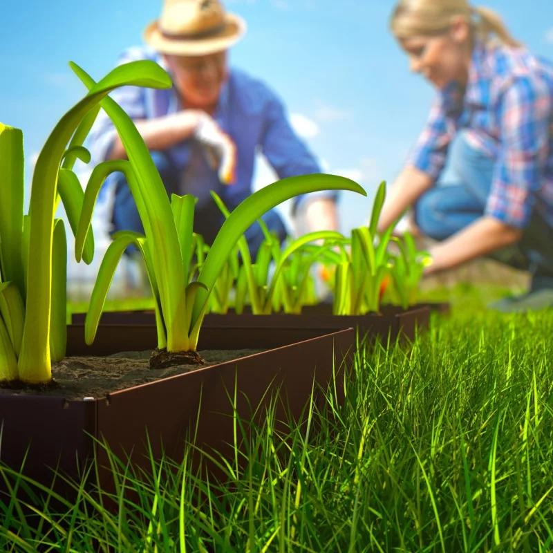 Uzdignuta gredica siva 1x1 m HORNVAL