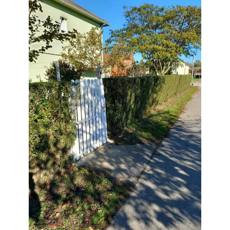 PVC letvica za ograde 60x20mm - 1m