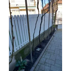 PVC letvica 100x20mm - 1m